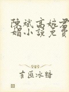 陈斌高婉君赵心媚小说免费阅读