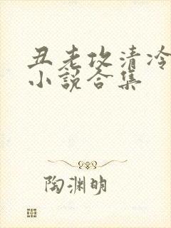 丑老攻清冷美人小说合集