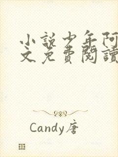 小说少年阿宾全文免费阅读