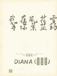 我在风花雪月里等你叶芷的孩子