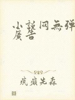 小说网无弹窗无广告