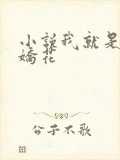 小说我就是如此娇花封面