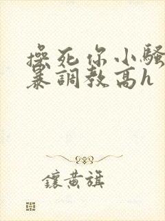 操死你小骚货粗暴调教高h