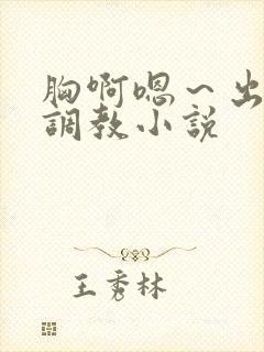 胸啊嗯～出奶了调教小说封面