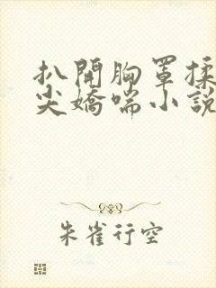 扒开胸罩揉她乳尖娇喘小说