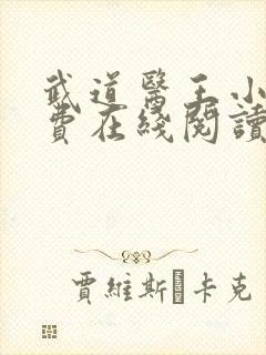 武道医王小说免费在线阅读封面