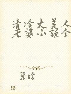 清冷大美人是我老婆小说全文阅读封面