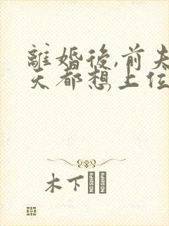 离婚后,前夫每天都想上位免费阅读