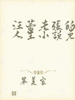 汪蕾老张的风流人生小说免费阅读封面