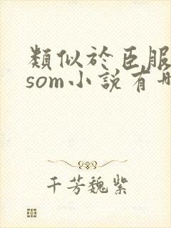 类似于臣服的dsom小说有哪些