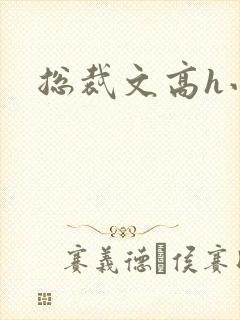 总裁文高h小说封面