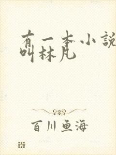 有一本小说主角叫林凡封面