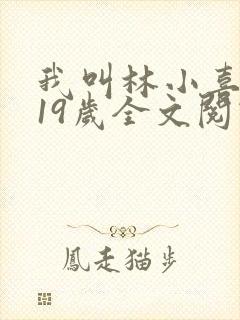 我叫林小喜今年19岁全文阅读