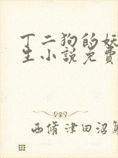 丁二狗的妖孽人生小说免费阅读