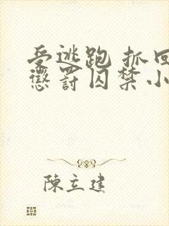 受逃跑 抓回 惩罚囚禁小说封面