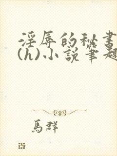 淫辱的秘书调教(h)小说笔趣阁