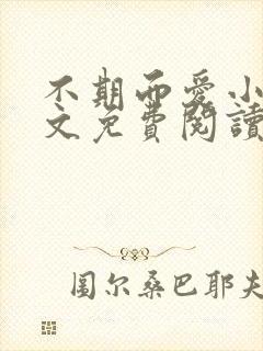 不期而爱小说全文免费阅读封面