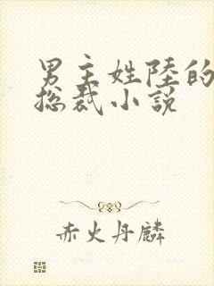 男主姓陆的豪门总裁小说