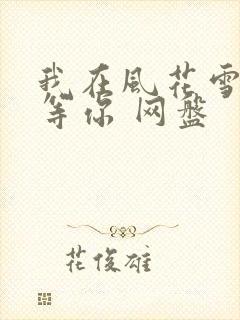我在风花雪月里等你 网盘