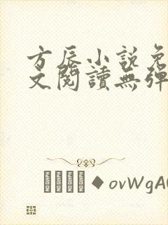 方辰小说免费全文阅读无弹窗封面