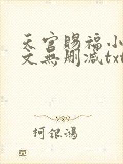 天官赐福小说全文无删减txt