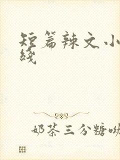 短篇辣文小说在线