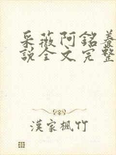 采薇阿铭养父小说全文完整版