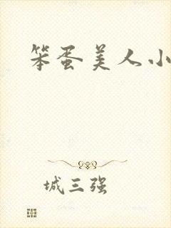 笨蛋美人小说封面