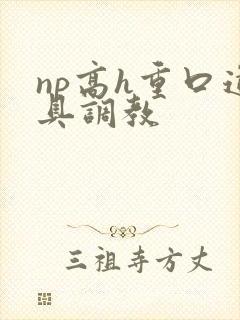 np高h重口道具调教封面