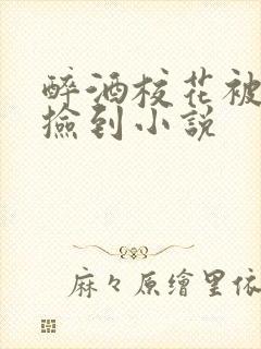 醉酒校花被乞丐捡到小说