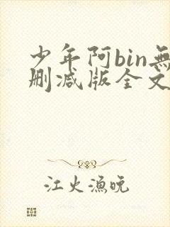 少年阿bin无删减版全文阅读