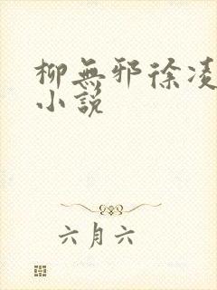 柳无邪徐凌雪的小说