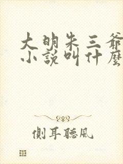 大明朱三爷原著小说叫什么