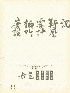 唐栖雾靳沉野小说叫什么封面