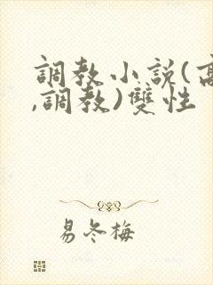 调教小说(高h,调教)双性