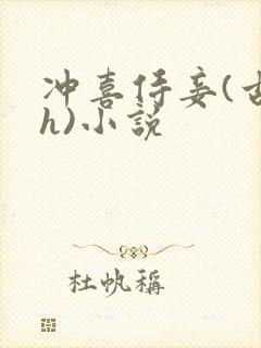 冲喜侍妾(古言h)小说