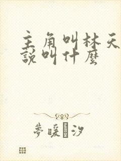 主角叫林天的小说叫什么封面