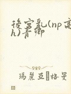 后宫乱(np高h)青卿