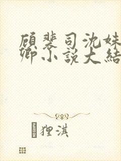 顾裴司沈姝苏念卿小说大结局封面