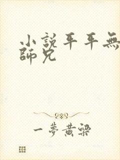 小说平平无奇大师兄