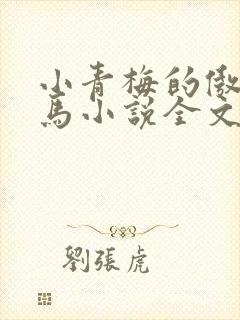 小青梅的傲娇竹马小说全文免费阅读封面