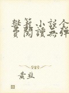 樊笼小说全文免费阅读无弹窗封面