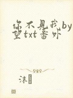 你不见我by在望txt番外