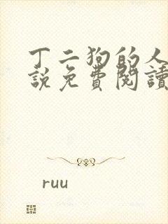 丁二狗的人生小说免费阅读全文