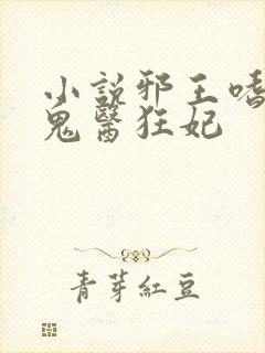 小说邪王嗜宠,鬼医狂妃