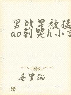 男明星被猛男cao到哭h小说