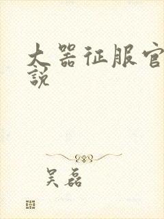 大器征服官场小说