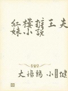 红楼推王夫人姐妹小说