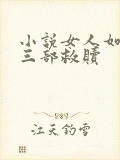 小说女人如雾第三部救赎