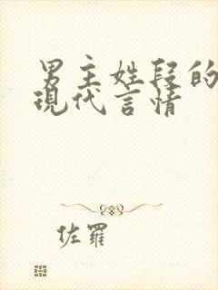 男主姓段的小说现代言情封面